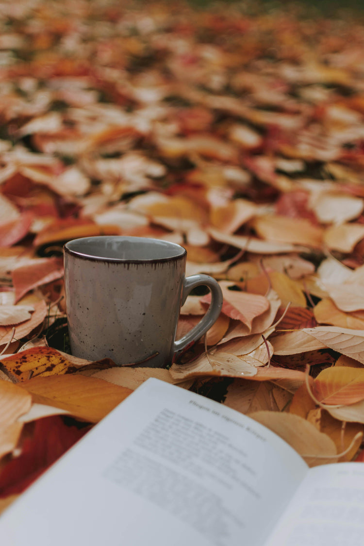 grey ceramic mug on autumn leaves with open book — cozy morning coffee scene UK home decor
