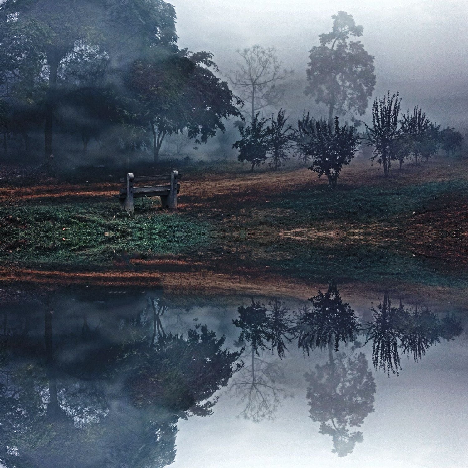 Landscape & Nature Scenes Wall Art